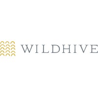 Wildhive logo - Similar company to Revolution - Software For Mortgage Brokers