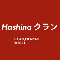 Hashina logo - Similar company to Jobypepper