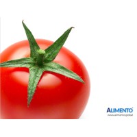 Alimento Food Industries