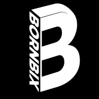 Bornbix Studio logo - Similar company to Bornbix