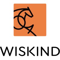 SHANDONG WISKIND ARCHITECTURAL STEEL CO.,LTD. logo - Similar company to Hangxiao Steel Structure(Shandong) Co., Ltd
