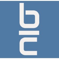 Borne Consulting logo - Similar company to Wyatt Engineering