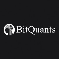 BitQuants logo - Similar company to Bitquants™