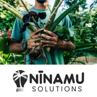 Nīnamu Solutions logo - Similar company to Sargasse Project