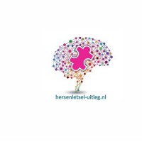 Hersenletsel-Uitleg + Brain Injury Explanation logo - Similar company to Hersenz