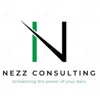Nezz Consulting logo - Similar company to Kb&G Consulting