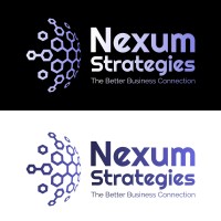 Nexum Strategies LLC logo - Similar company to Cho Highwater Group