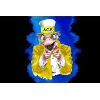 AGS sas logo - Similar company to B&Q Srl