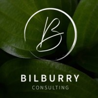 Bilburry Consulting logo - Similar company to Sknt