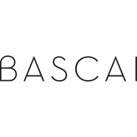 BASCAI logo - Similar company to Datameer