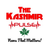 The Kashmir Pulse logo - Similar company to Wisdom.
