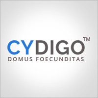 Cydigo IT Solutions Private Limited logo - Similar company to Codeflexer