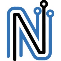 Netz Informatique logo - Similar company to Dreamcorp