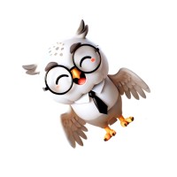 Place des Finances logo - Similar company to Qirios