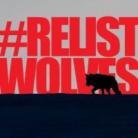 The Relist Wolves Campaign logo - Similar company to Zoo La Garenne