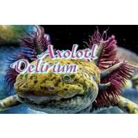 Axolotl Delirium