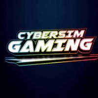 Cyber Sim Gaming logo - Similar company to Alg Co S.A.S