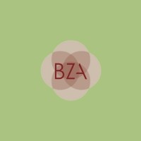 BZA Behavioral Health logo - Similar company to Visionostics