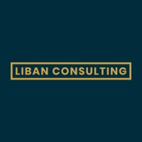 Liban Consulting logo - Similar company to Southone