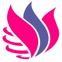 S.C. VIXFLO INVEST S.R.L. logo - Similar company to Ib Development