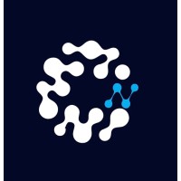 NeuroFleets logo - Similar company to Strata Insights:  Brand Economists