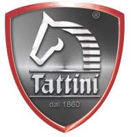 Tattini Boots logo - Similar company to Seoptimix