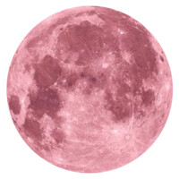 PixelHaus logo - Similar company to Milkshake®