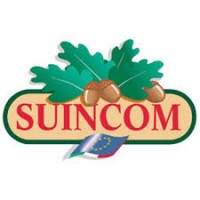 SUINCOM SPA logo - Similar company to Kolex