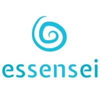 essensei logo - Similar company to Codist