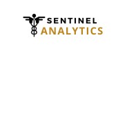 Sentinel Analytics LLC logo - Similar company to Sentinel Analytics