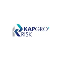 KAPGRO RISK logo - Similar company to Cube Ict Solutions