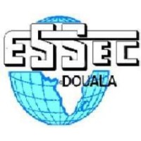 ESSEC de Douala logo - Similar company to Essec Business School De Douala