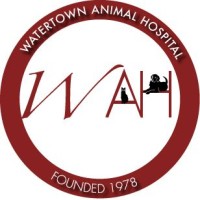 Watertown Animal Hospital logo - Similar company to Barismo