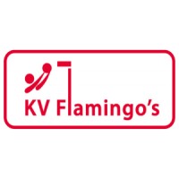 Korfbalvereniging Flamingo's Buitenpost logo - Similar company to Wolf Maps