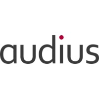 audius India Private Limited logo - Similar company to Audius