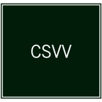 CS Vermögensverwaltungs GmbH logo - Similar company to Rs Traut Gmbh