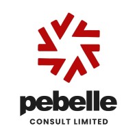 Pebelle Consult Limited logo - Similar company to Persianas Group Nigeria