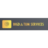 Bigdatum Services