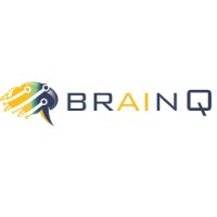 BrainQ logo - Similar company to Biomedical Computing Limited
