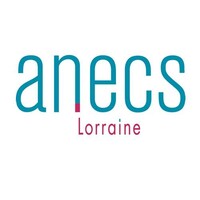 ANECS Lorraine logo - Similar company to Anecs Alsace