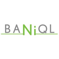 BANIQL logo - Similar company to Aisimpro