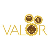 VALOR Project logo - Similar company to Antenna Project