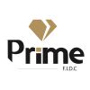 Prime FIDC logo - Similar company to Riocoletas Saúde
