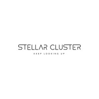 StellarCluster Organization logo - Similar company to Advance Her Nature Foundation