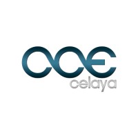CCE Celaya logo - Similar company to Prodem - Programa De Desarrollo Emprendedor