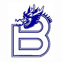 Baolong Electronic Group Co.,Ltd. logo - Similar company to Guangzhou Jia Bao Machinery Co,.Ltd