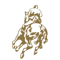 Jumping Amsterdam logo - Similar company to Noordtec B.V.