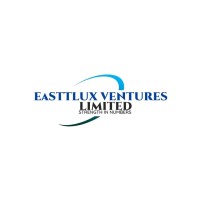 EasttLux Ventures Ltd logo - Similar company to Biomir Eurl