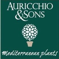 Auricchio & Sons logo - Similar company to Modulit_Bagno