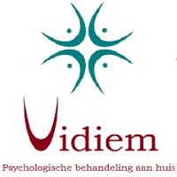 Vidiem logo - Similar company to Orbis Inc.